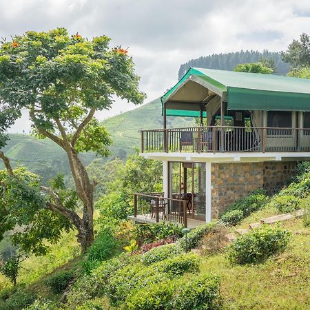 Madulkelle Tea And Eco Lodge Kandy Exteriér fotografie