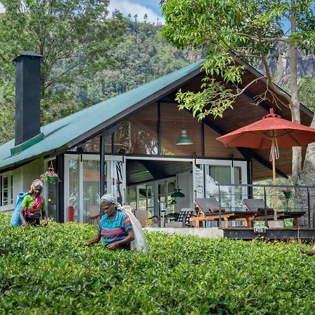 Madulkelle Tea And Eco Lodge Kandy Exteriér fotografie