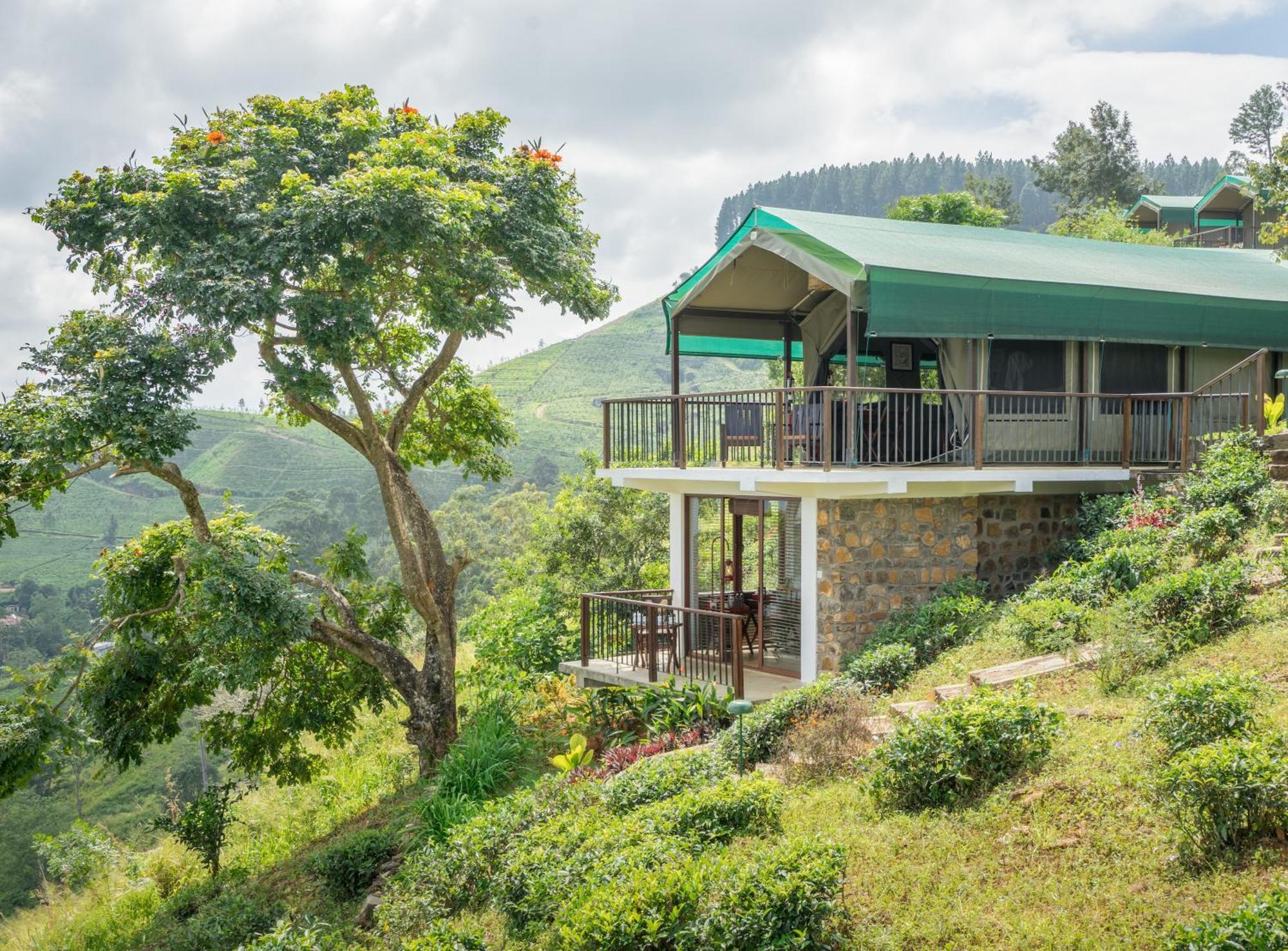 Madulkelle Tea And Eco Lodge Kandy Exteriér fotografie