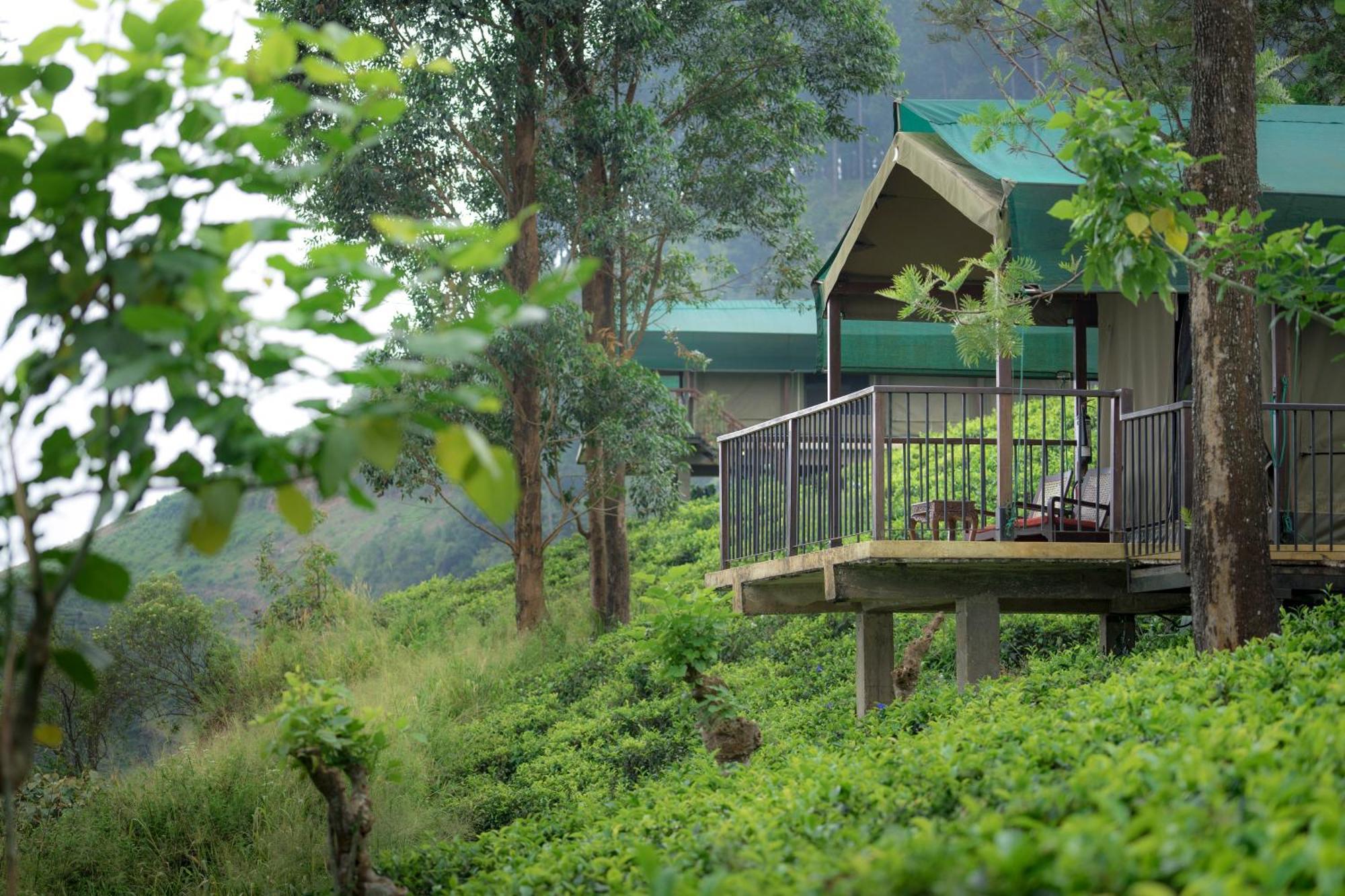 Madulkelle Tea And Eco Lodge Kandy Exteriér fotografie
