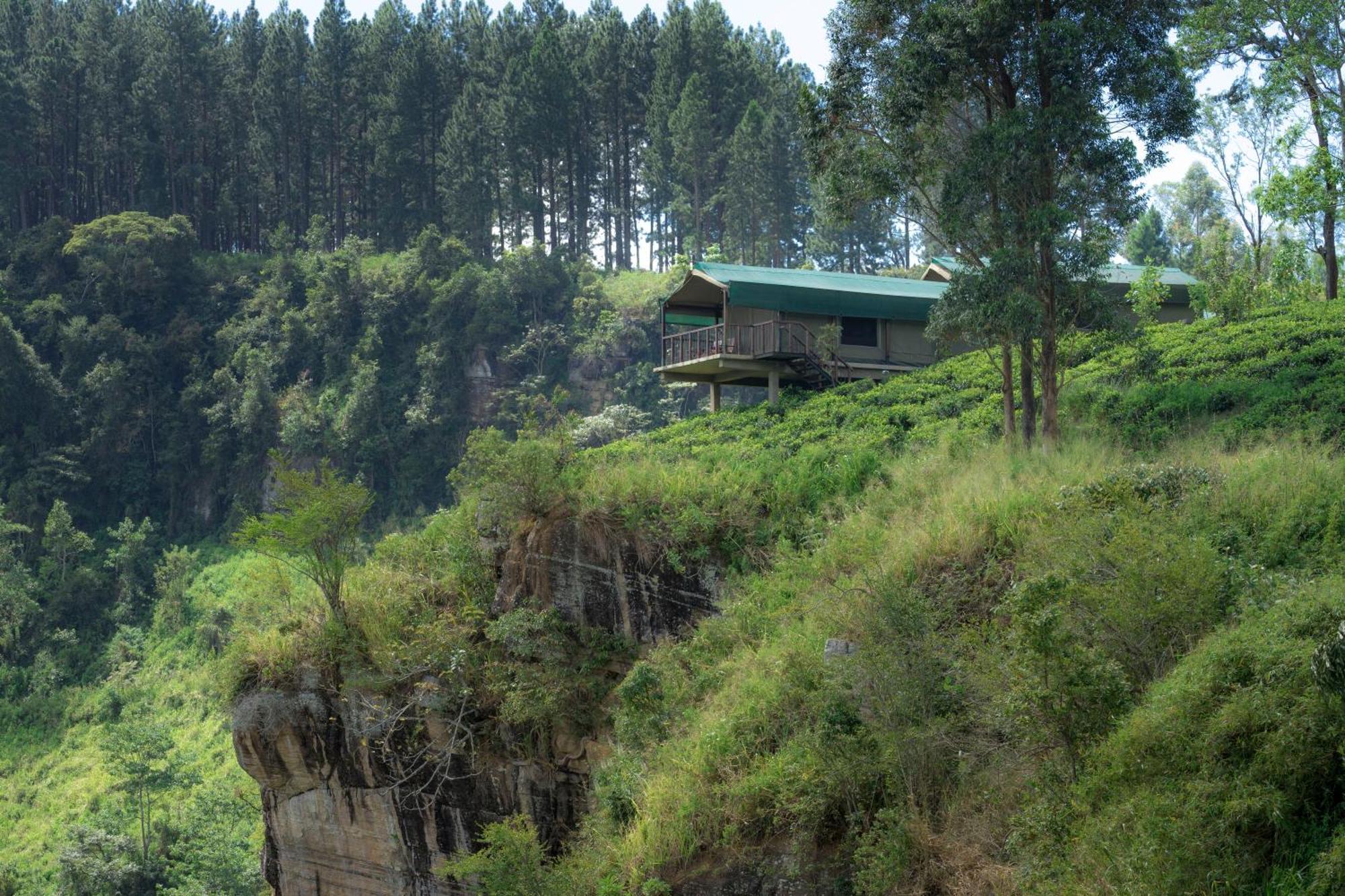 Madulkelle Tea And Eco Lodge Kandy Exteriér fotografie