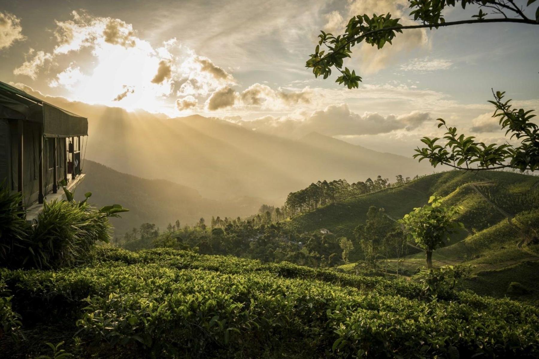Madulkelle Tea And Eco Lodge Kandy Exteriér fotografie