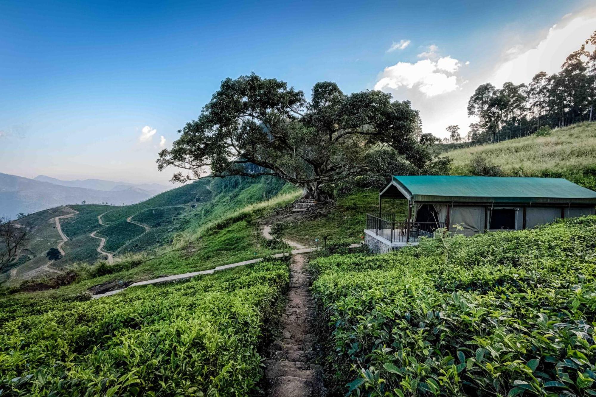 Madulkelle Tea And Eco Lodge Kandy Exteriér fotografie