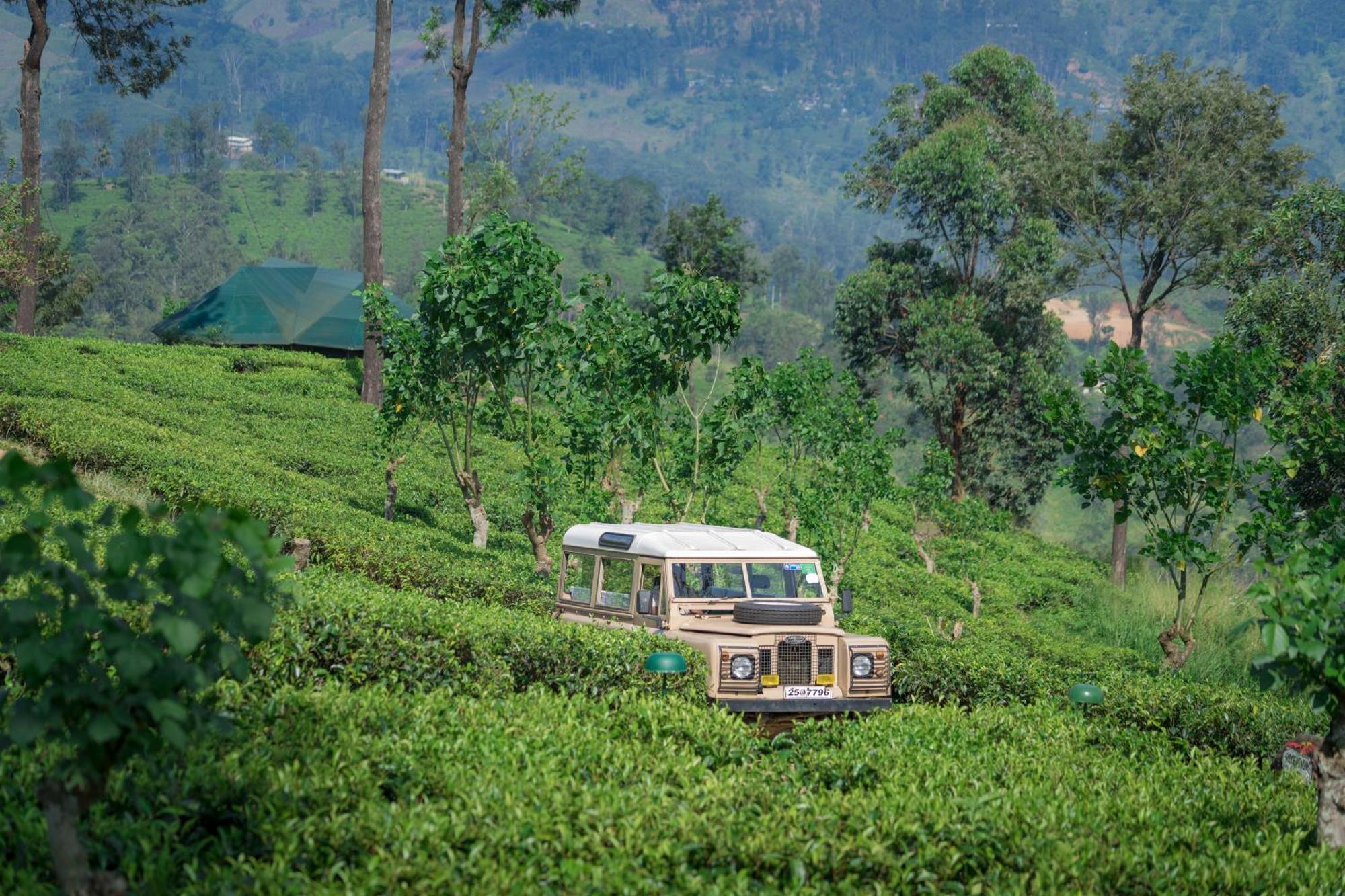 Madulkelle Tea And Eco Lodge Kandy Exteriér fotografie